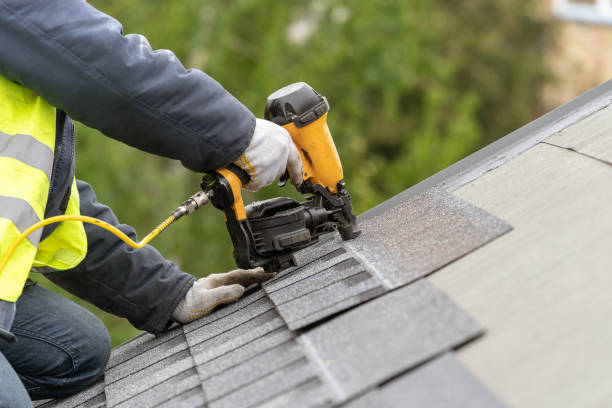 Best Roof Ventilation Installation  in South St Paul, MN