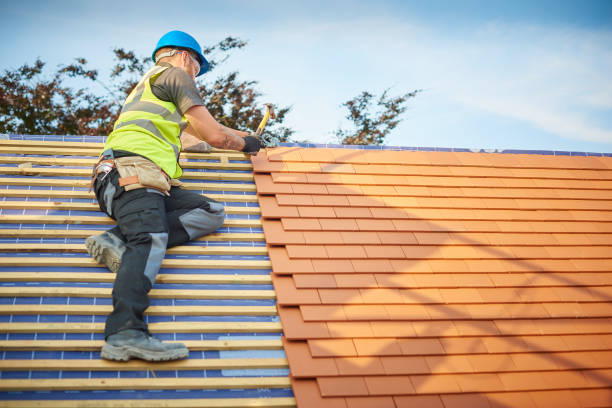Best Chimney Flashing Repair  in South St Paul, MN